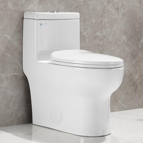 Deer Valley Toilet Reviews An InDepth Look at the DV1F026 Ally Dual Flush Toilet ToiletsMan