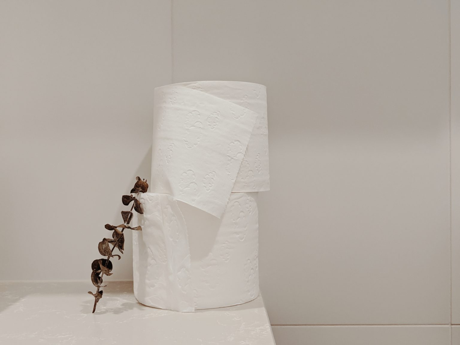 Biodegradable Toilet Paper What You Should Know ToiletsMan