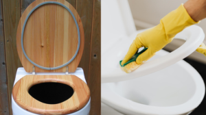 plastic toilet seat side by side wooden toilet seat